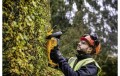 Nożyce do żywopłotu krzewów 550 mm akumulatorowe 18V 5Ah ładowarka DeWALT