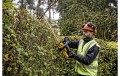 Nożyce do żywopłotu krzewów 550 mm akumulatorowe 18V 5Ah ładowarka DeWALT