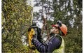 Nożyce do żywopłotu krzewów 550 mm akumulatorowe 18V 5Ah ładowarka DeWALT