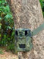 Fotopułapka KAMERA leśna IP66 WODOODPORNA wykrywanie ruchu PIR 3840x2160p
