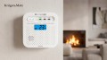 Czujnik czadu tlenku węgla Co alarm bezprzewodowy WiFi Tuya 10 lat