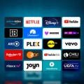 Telewizor DYON Smart tv 32'' HD LED DVBT2 WiFi USB tryb hotelowy Aplikacje