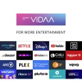 Telewizor DYON 24'' HD Smart tv DVBT2 CI+ WiFi WLAN hotelowy Netflix