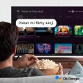 Telewizor smart Google TV 40" Full HD WiFi DVB-T2 H.265 HEVC HDR Chromecast