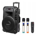 Głośnik Bluetooth kolumna mikrofon karaoke USB SD