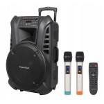 Głośnik Bluetooth kolumna mobilna mikrofon karaoke USB SD