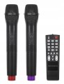 Głośnik Bluetooth 30cm USB mikrofony Karaoke