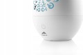 2b687bda42fd9c6919a42784391a