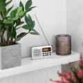 radio-przenosne-na-baterie-fm-am-zegar-alarm-wyjscie-na-sluchawki