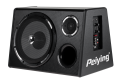 Tuba samochodowa subwoofer głośnik 25cm wzmacniacz 200W Peiying