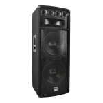 Kolumna ESTRADOWA głośnik Dibeisi 2x 30cm 800W