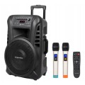 Głośnik Bluetooth kolumna mikrofon karaoke USB SD
