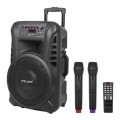 Głośnik Bluetooth 30cm USB mikrofony Karaoke