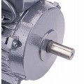 Silnik elektryczny jednofazowy 3kW 2800RPM 230V