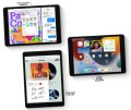 tablet-apple-ipad-retina-10.2-cala-64gb-wifi-9-generacja-touch-id-szary