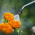 Opryskiwacz ciśnieniowy ręczny 5L regulowana lanca 3 bar uchwyt Gardena
